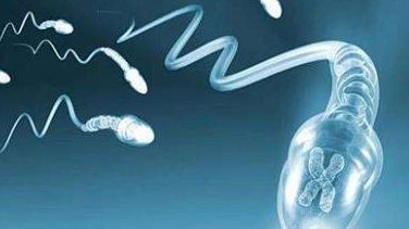 2026唐山市妇幼保健院能做试管三代试管婴儿吗？附河北试管医院排名