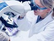 2026年中国去马来西亚做试管的机构联系方式马来西亚试管婴儿费用多少啊