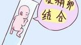 2026包头助孕生子机构前十名单汇总(这份指南请收好)