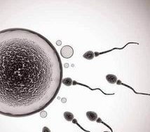 2026南京第三代试管助孕生孩子医院哪些能做？