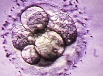 2026古交市三代试管医院哪家强？口碑前十榜单流出