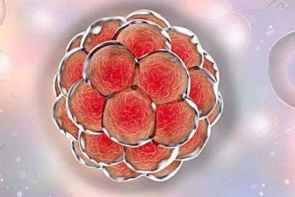 2026南宁试管婴儿助孕机构的服务和费用明细